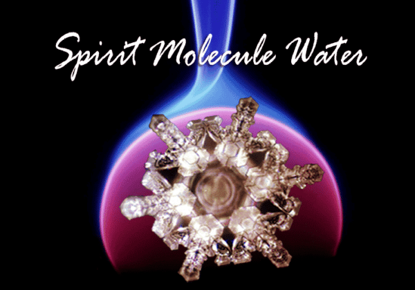 SPIRIT MOLECULE STRUCTURED WATER™ - Image 2